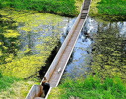 pont en accoya qui traverse un lac 